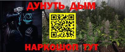 гидра Дубна